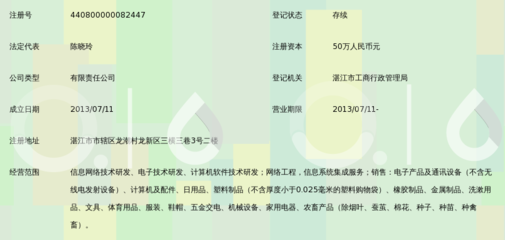 湛江市思雅網絡科技有限公司 專注網絡技術開發的創新力量